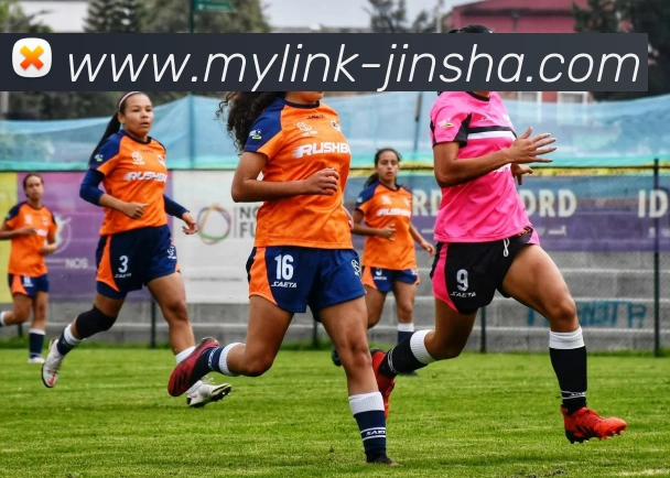 多媒体互动体验