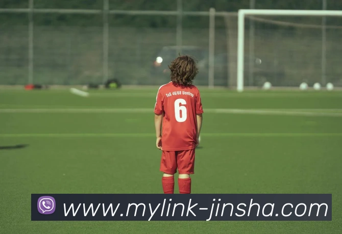 澳门金沙官网APP 体育赛事宣传图